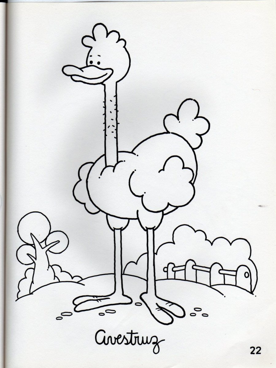 Страус рисунок