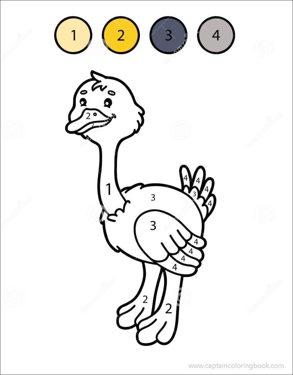 Страус вектор