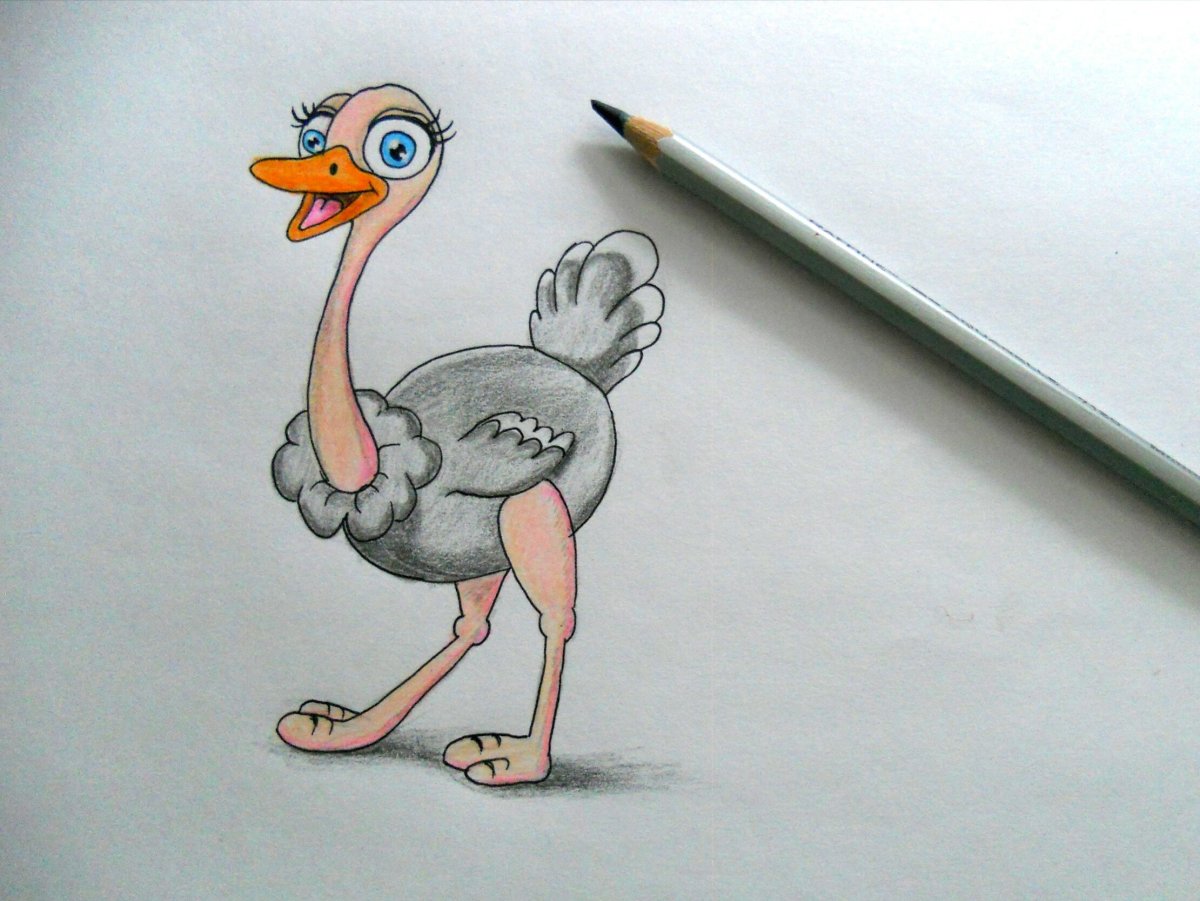 Страус смешной вектор