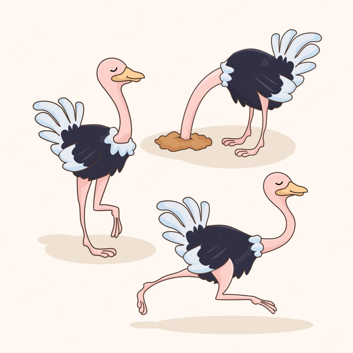 Голова страуса для раскрашивания