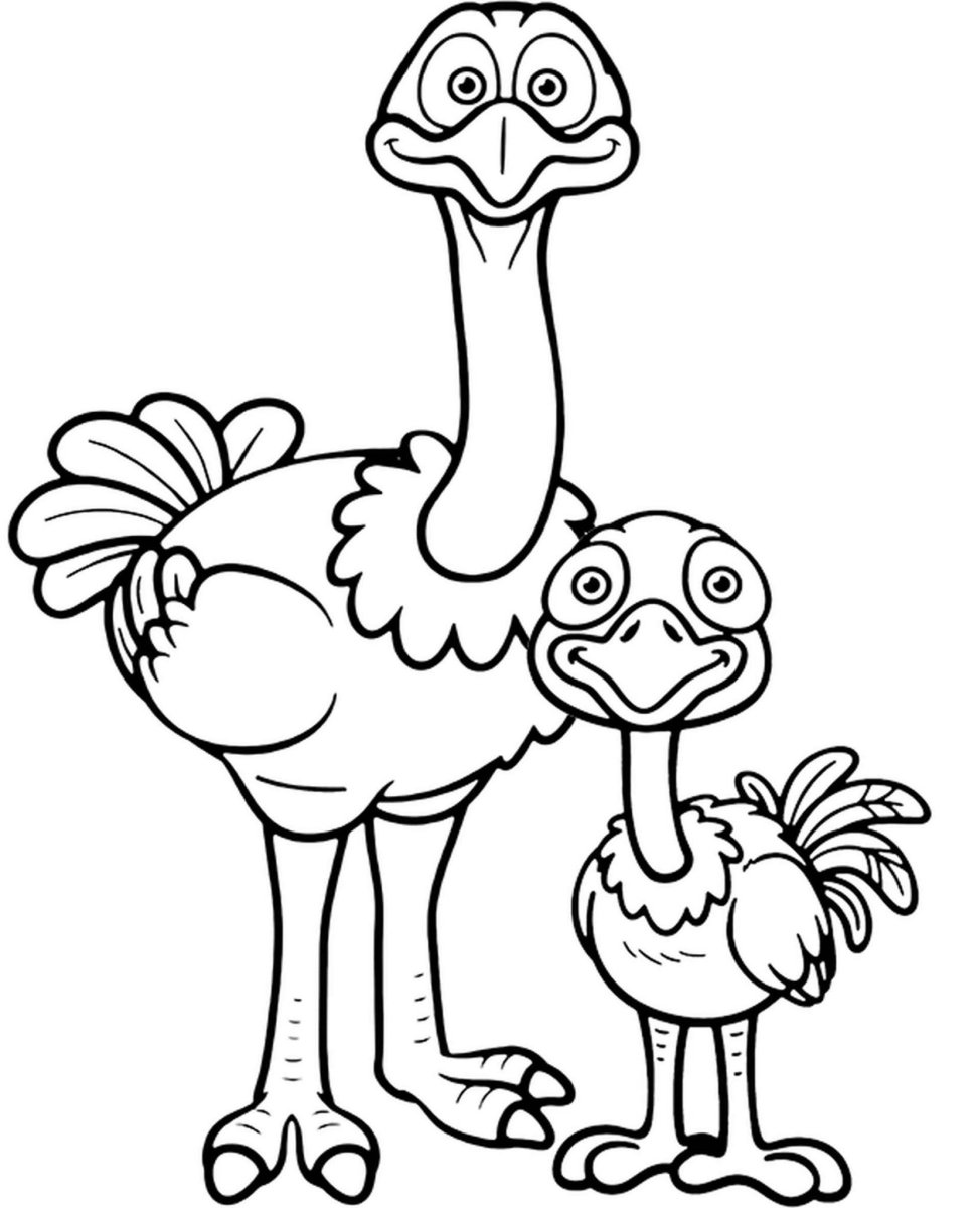 Милый рисунок страуса мультяшный