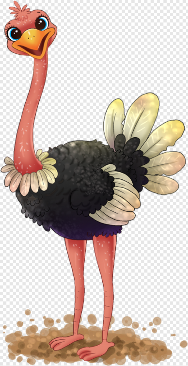 Страус Black and White