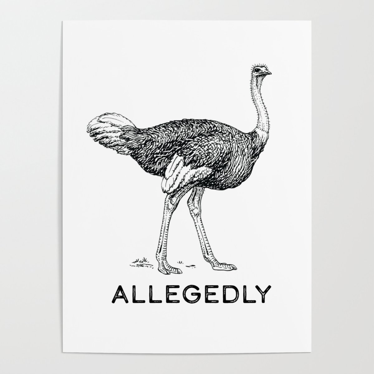 Страусиное яйцо силуэт рисунок