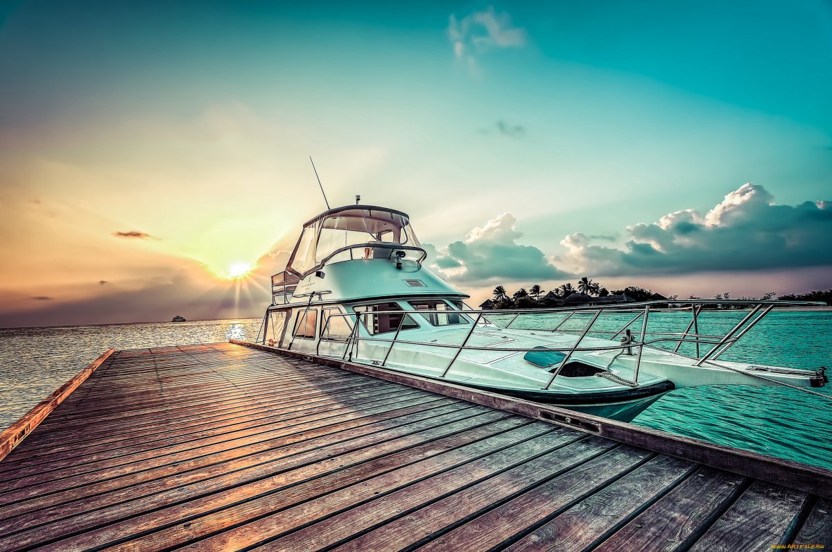 Джозеф Збуквич акварели