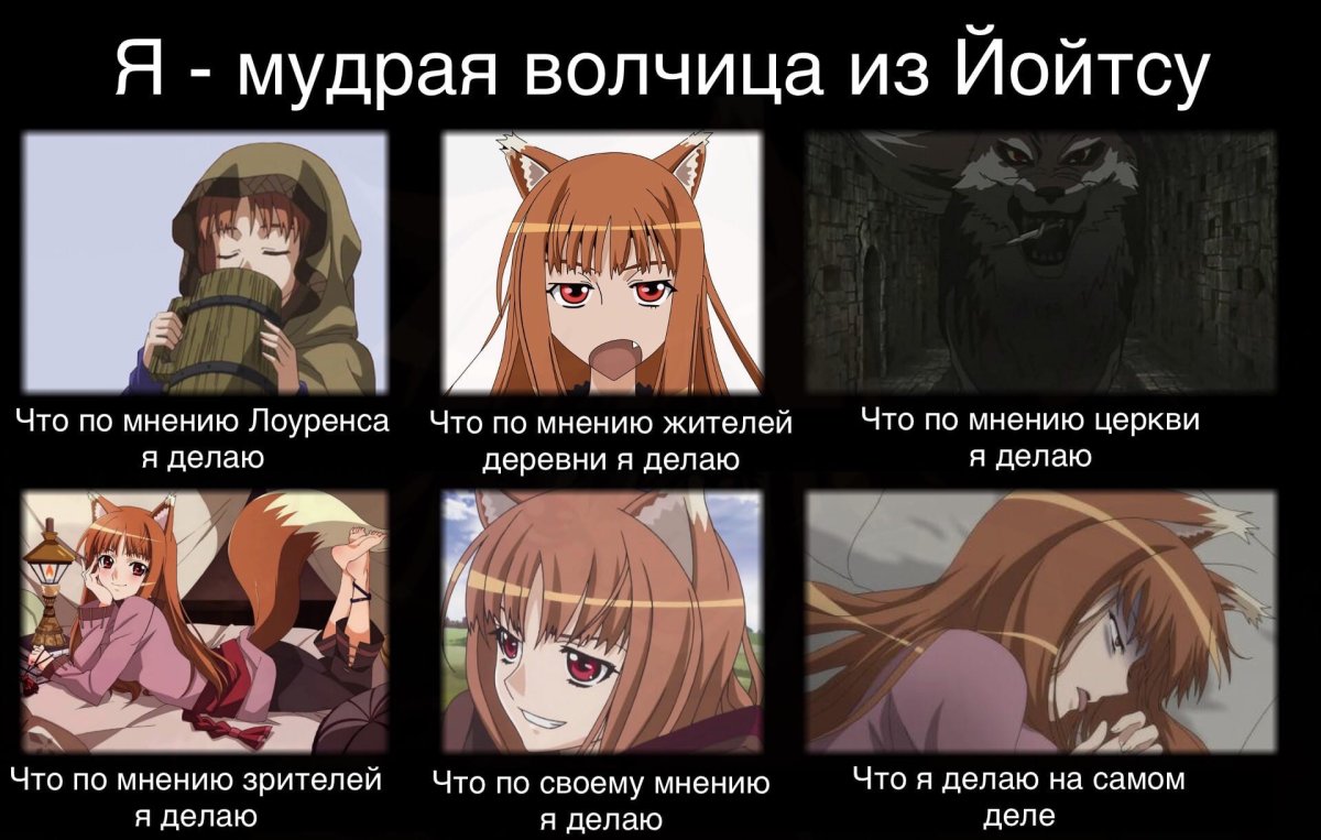 Волчица и пряности Мем