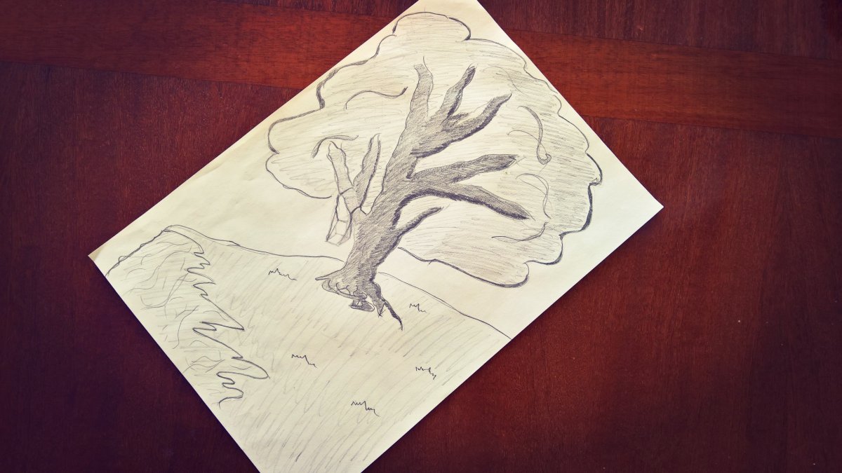 Рисунки на альбомном листе карандашом красивые