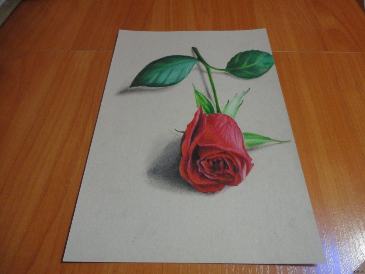 Идеи для рисунков акриловыми красками