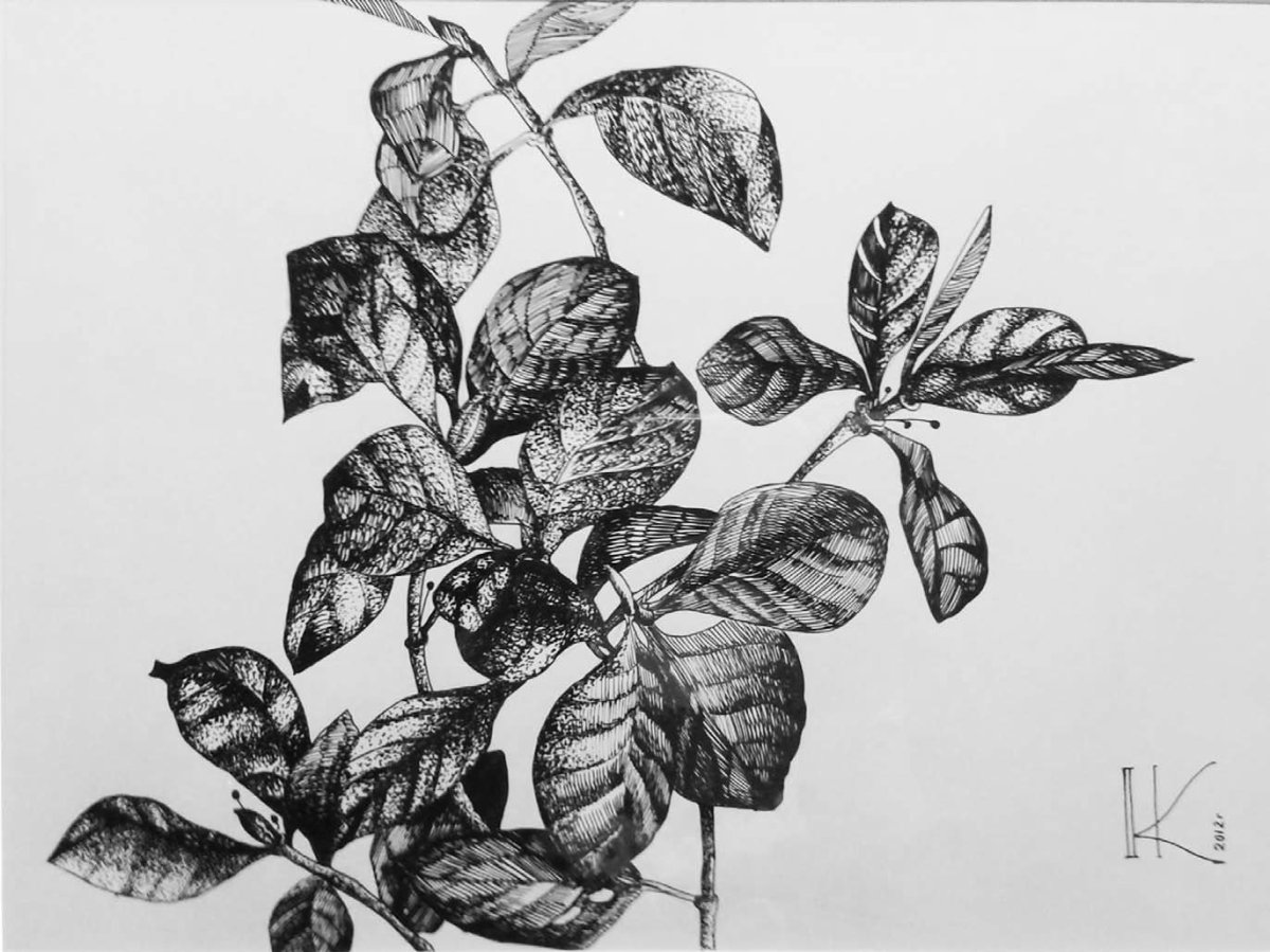 Минимализм цветок в горшке вектор