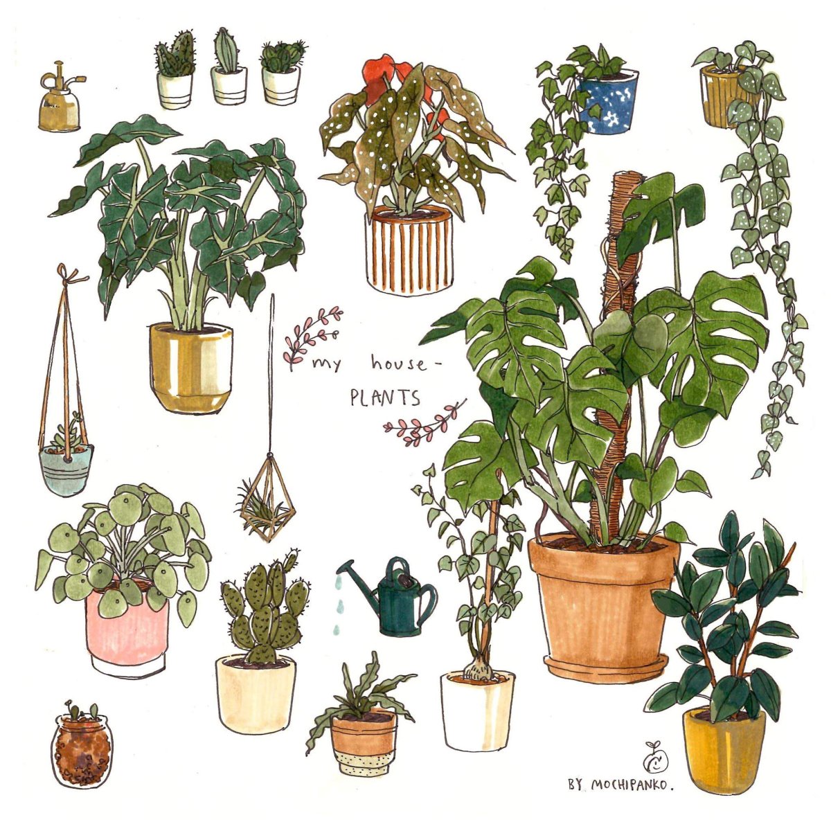 Суккуленты акварель