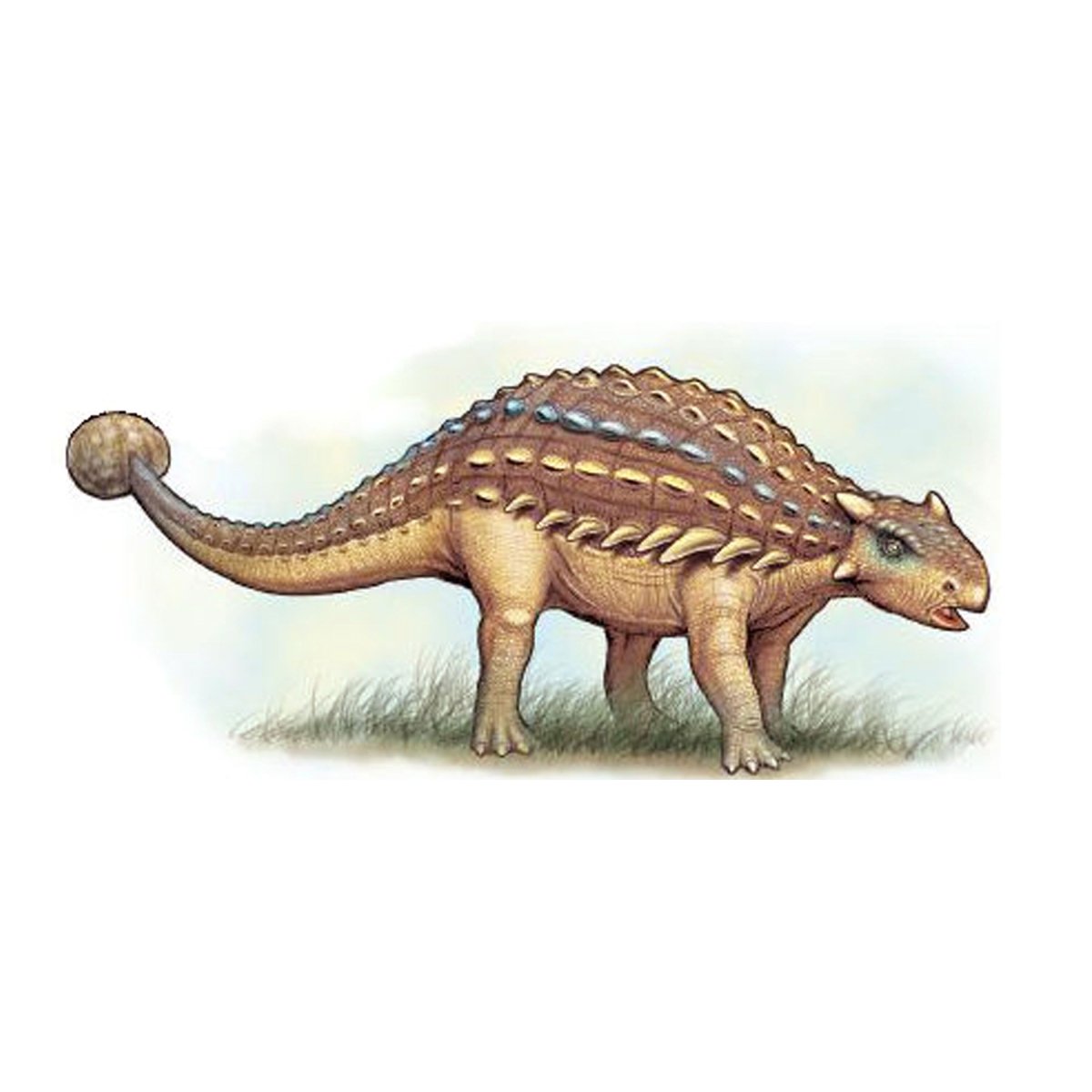 Анкилозавр скелет