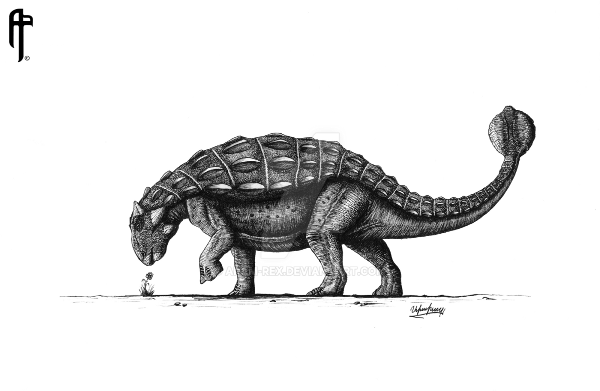 Пинакозавр скелет