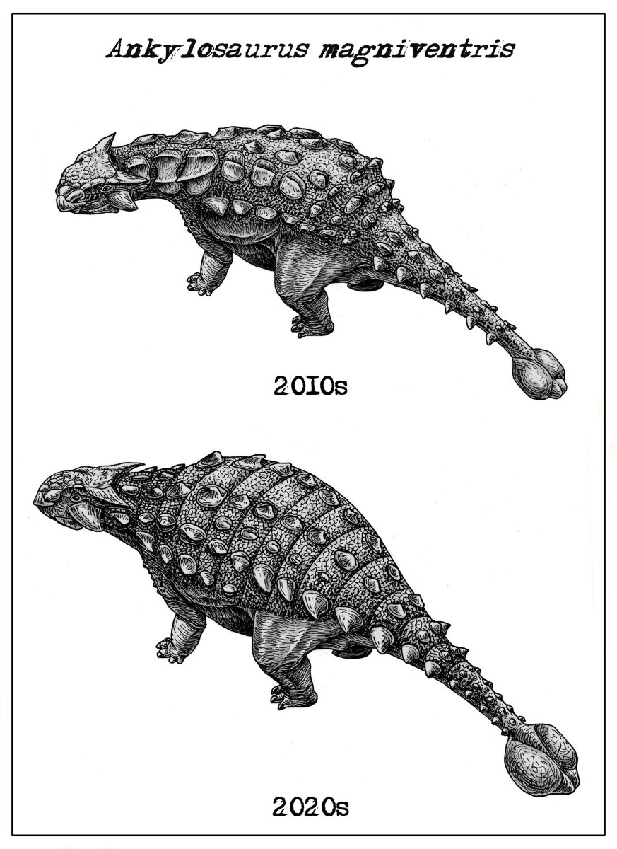 Раскраска динозавр Анкилозавр