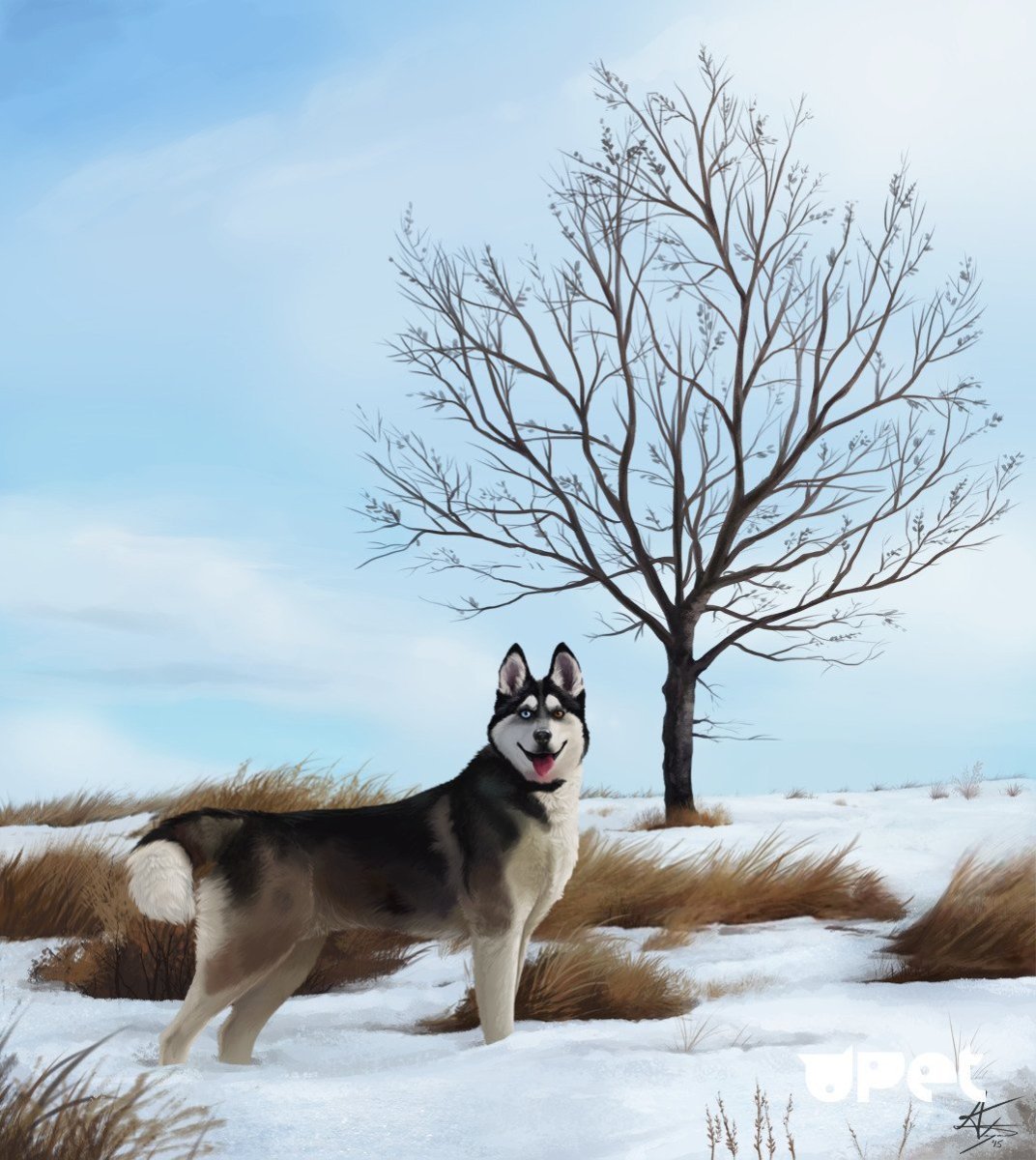 Сибирский хаски арт