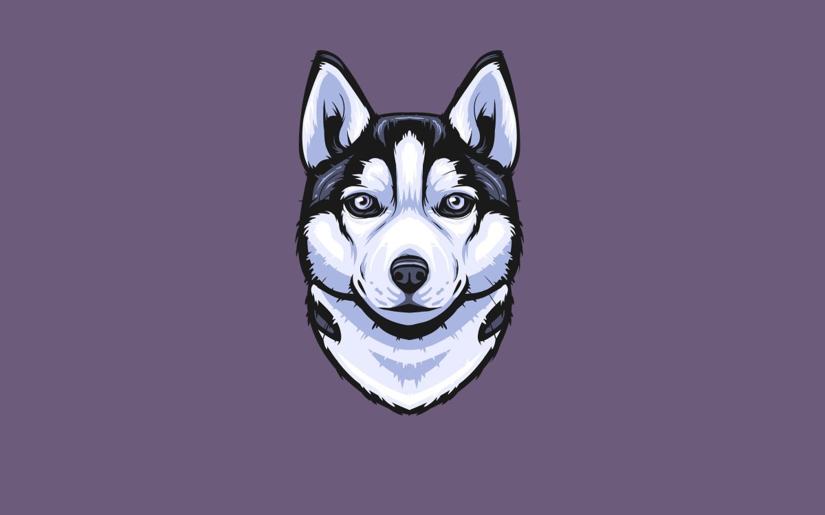 Рисунок собаки хаски