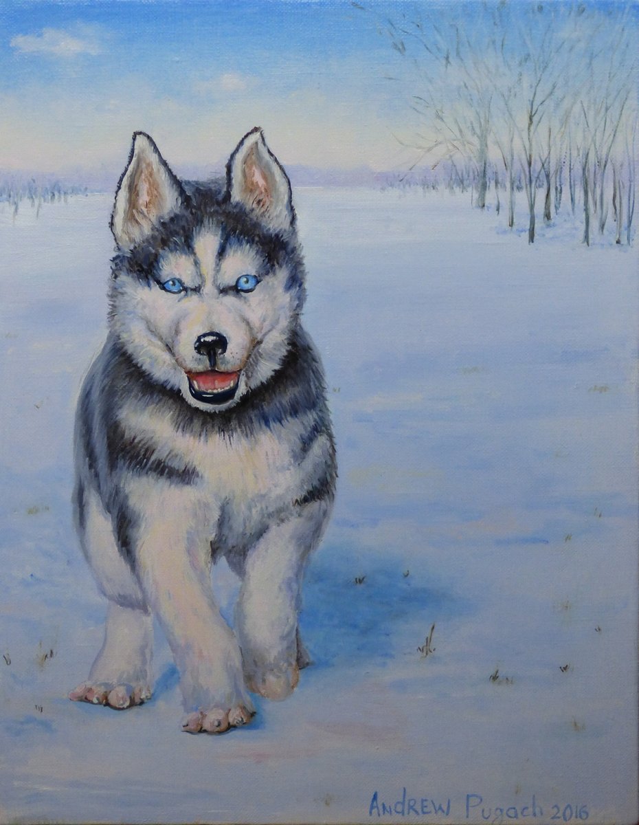 Хаски рисунок