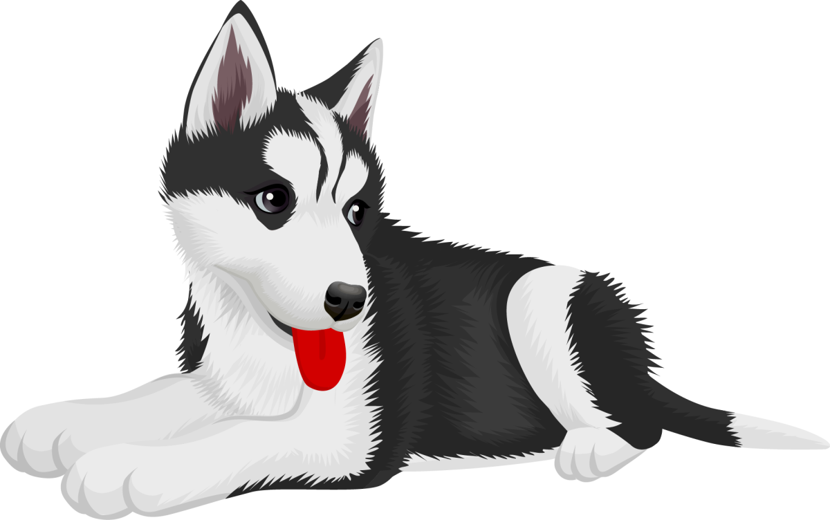Крутой рисунок хаски для срисовки