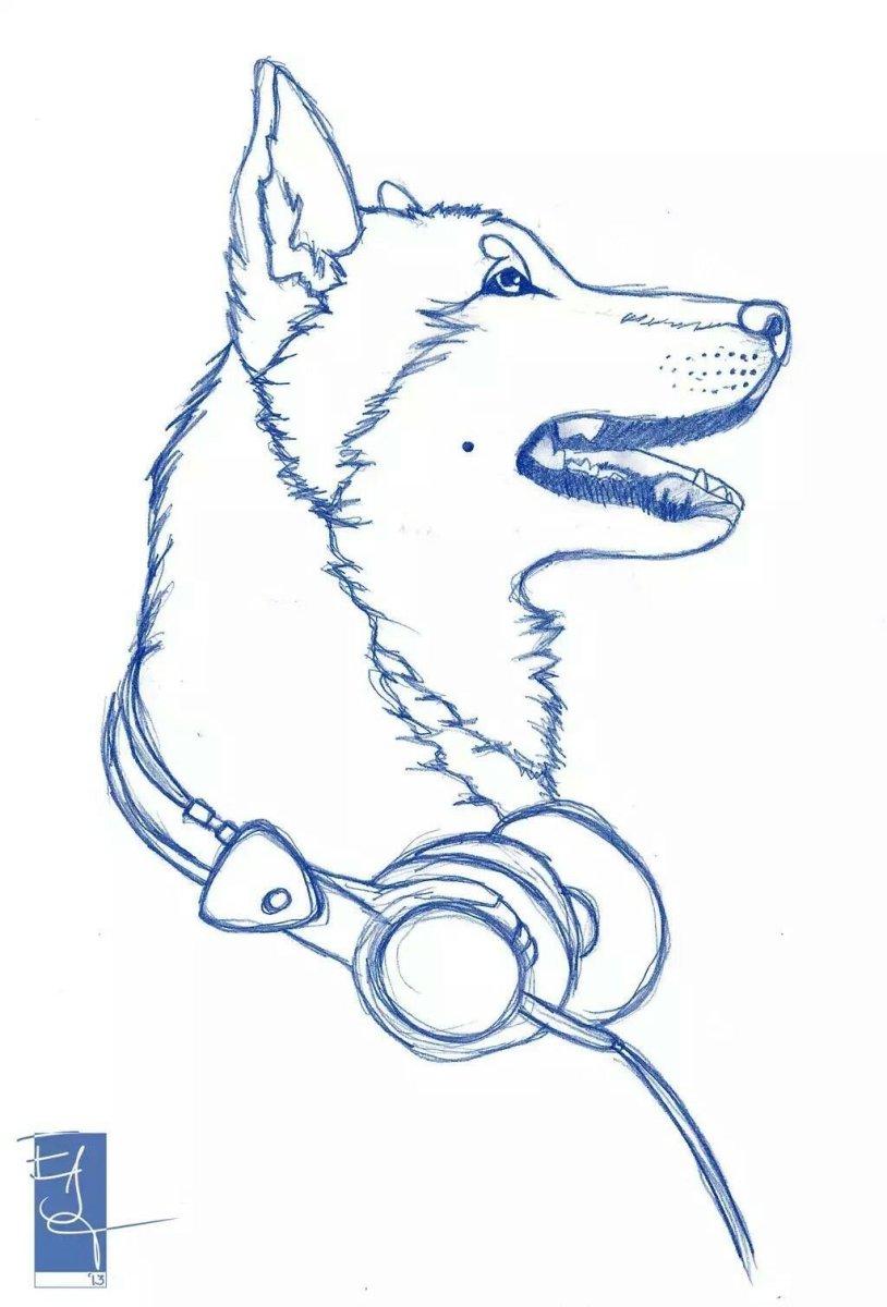 Хаски рисунок для срисовки