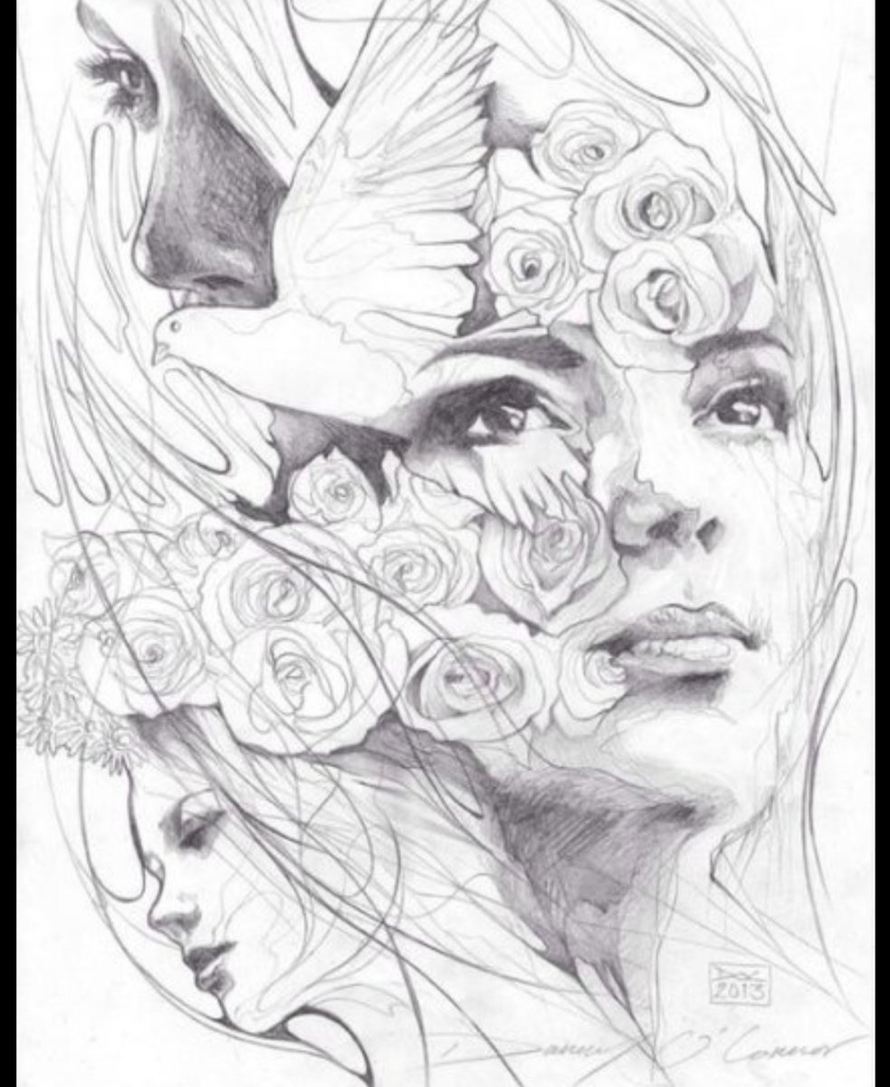 Иллюстрации Кэти Липскомб