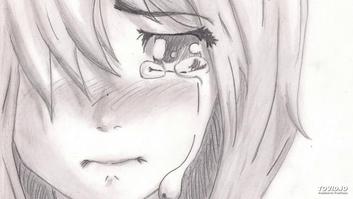 Красивые рисунки котят