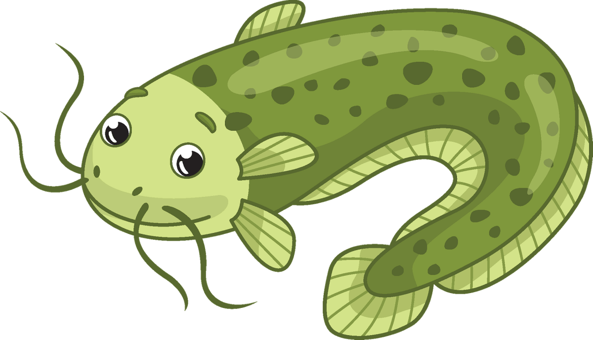 Сом для детей