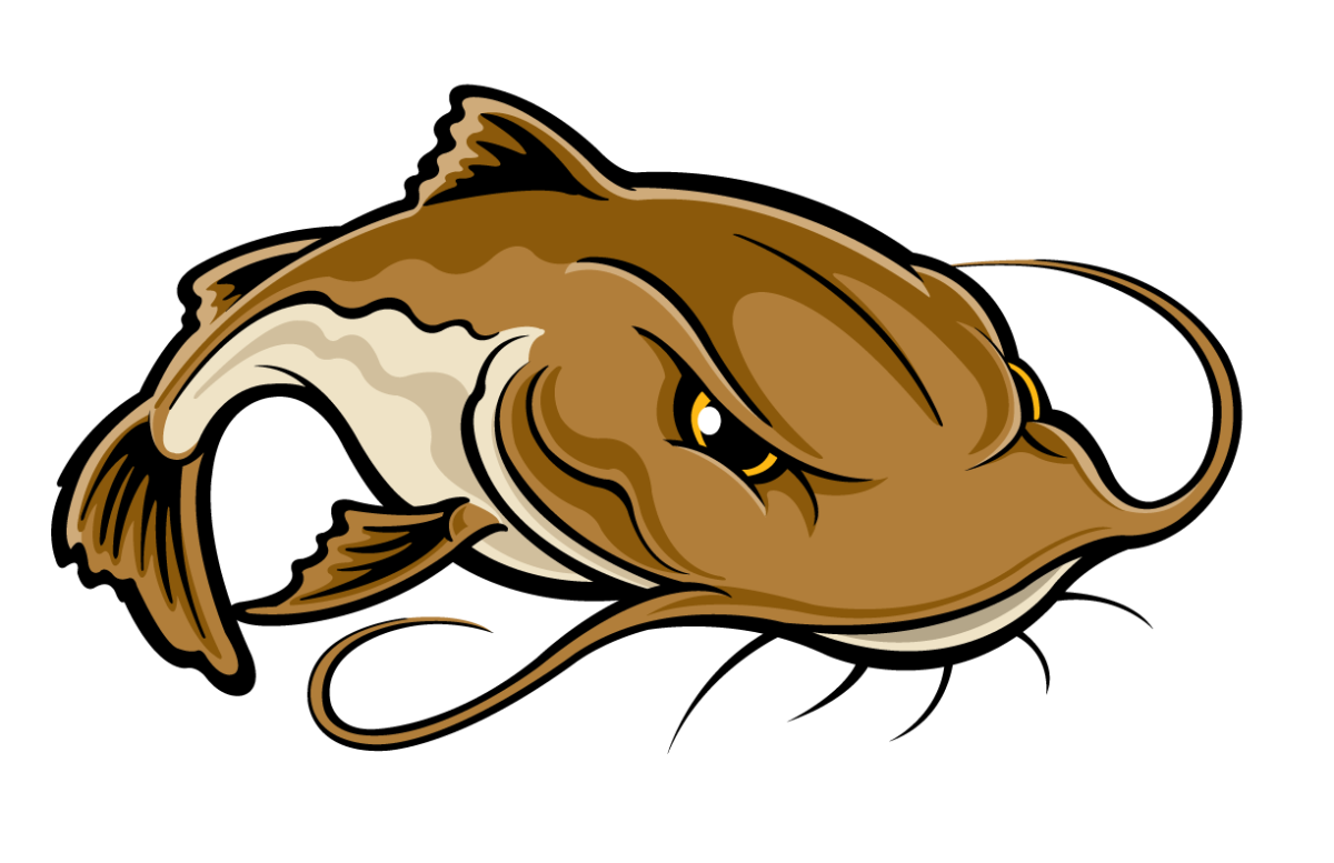 Сом картинка для детей