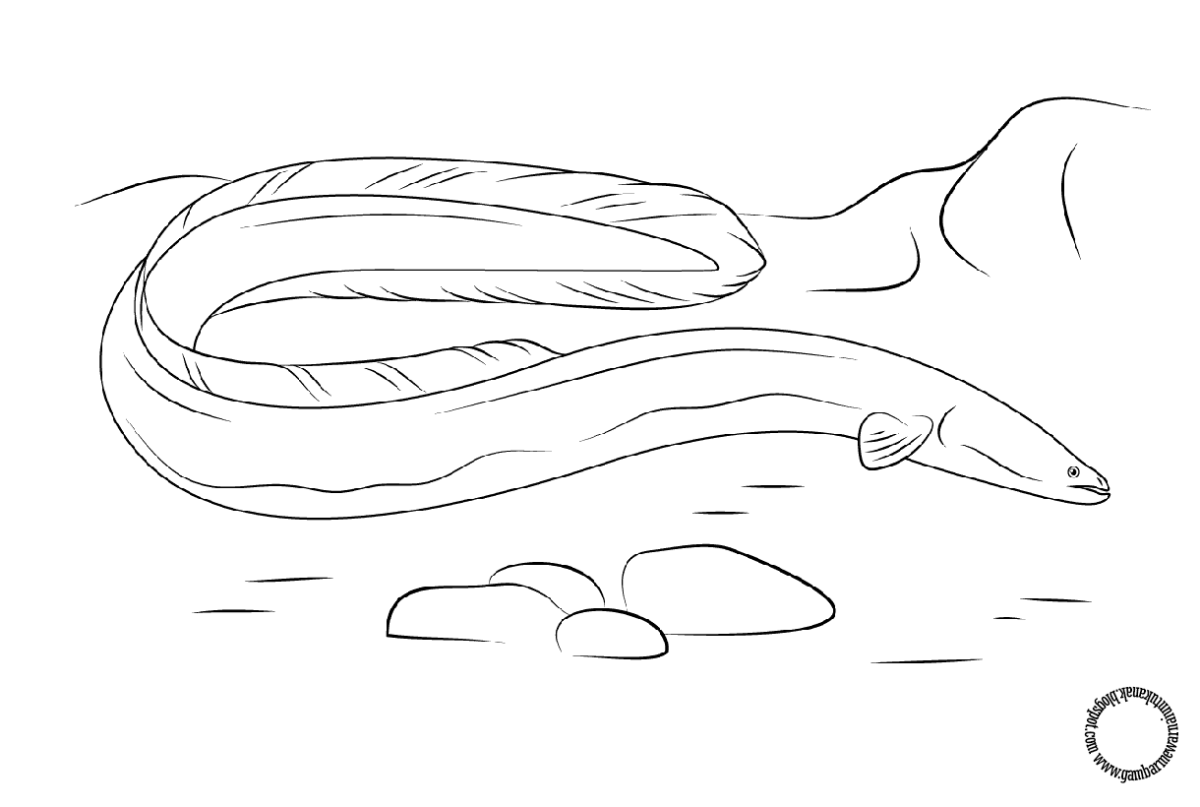 Лёгкие рисунки