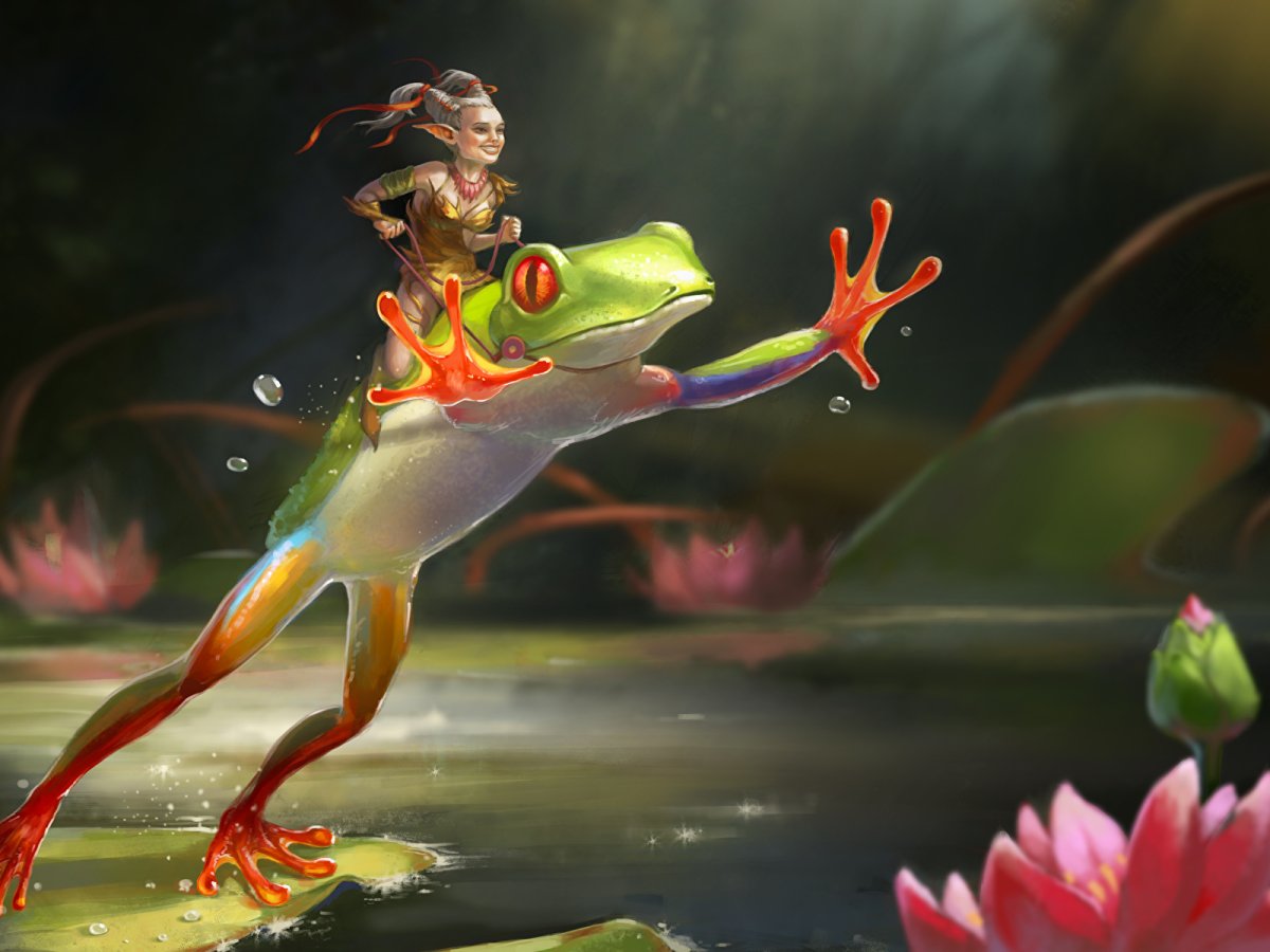 Красивая лягушка арт