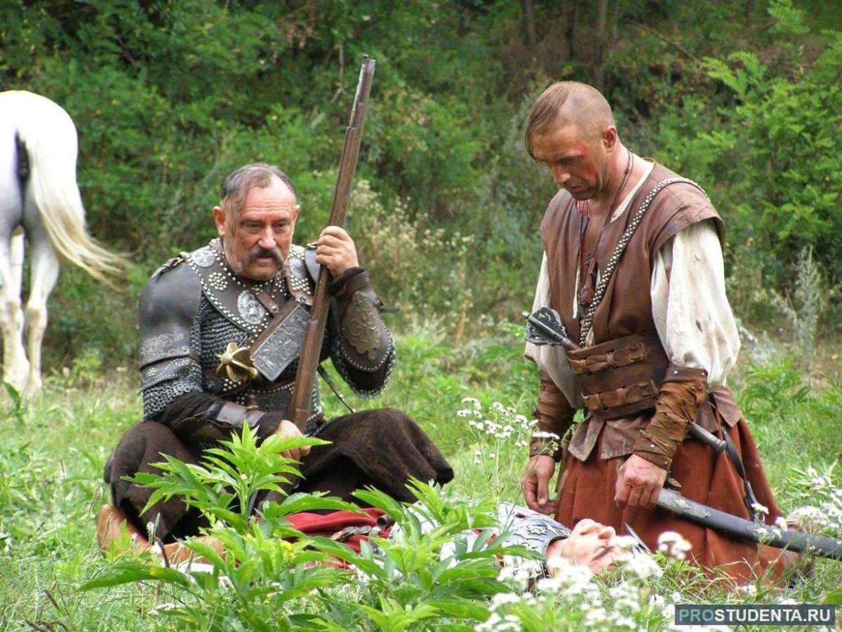 Эльжбета Тарас Бульба