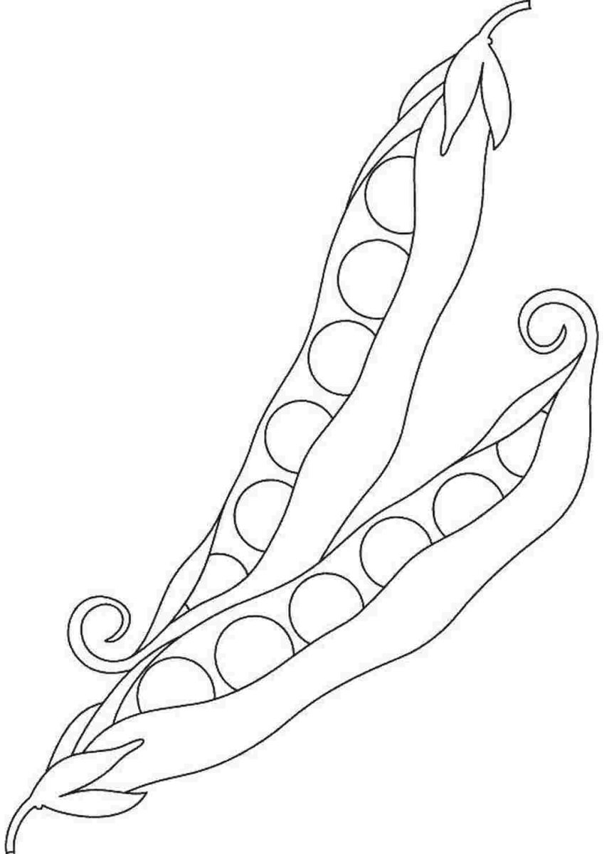 Фасоль раскраска