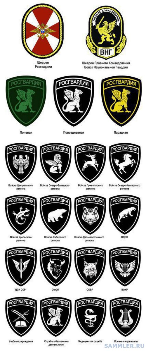 Шеврон в форме щита