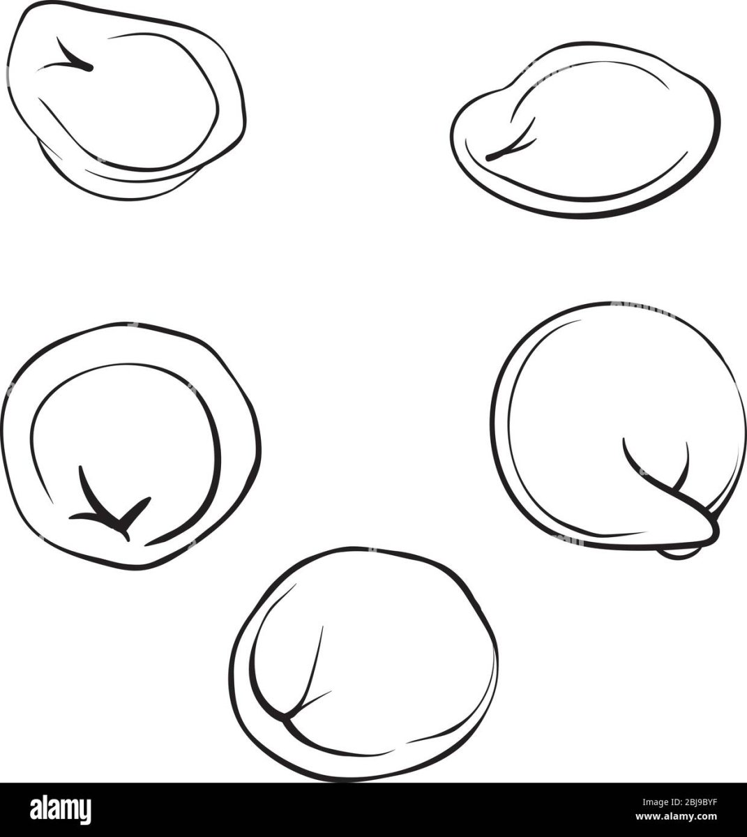 Зарисовки пельмени