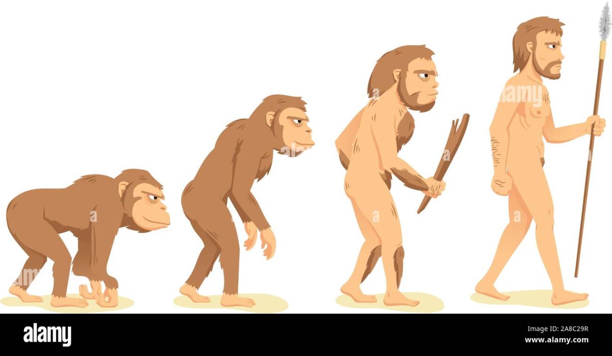 Неандерталец хомо хабилис примат хомо сапиенс