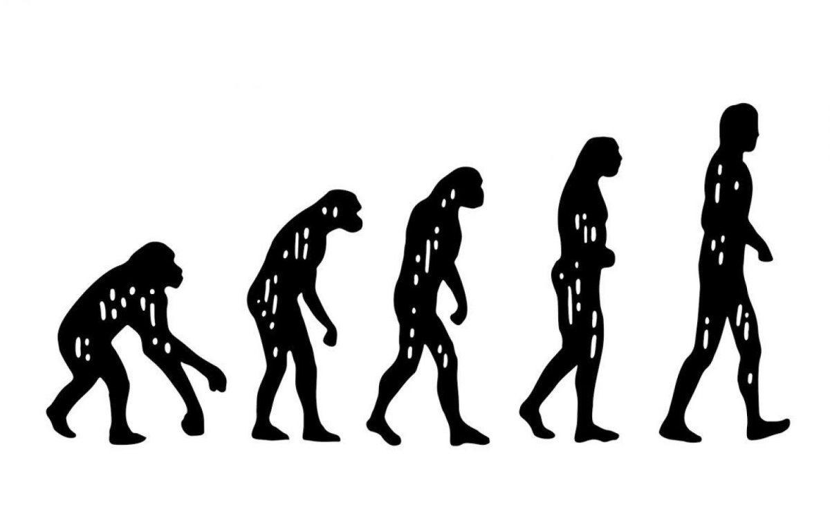 Хомо сапиенс индивид