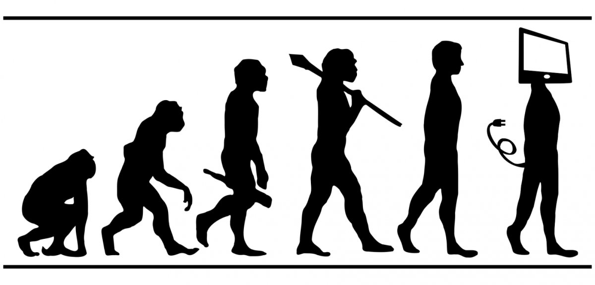 Эволюция человека