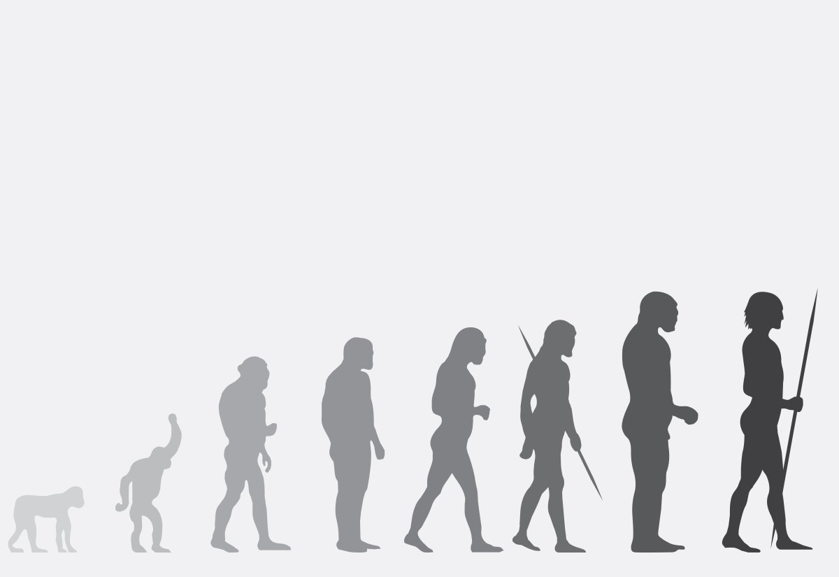 Эволюция человека