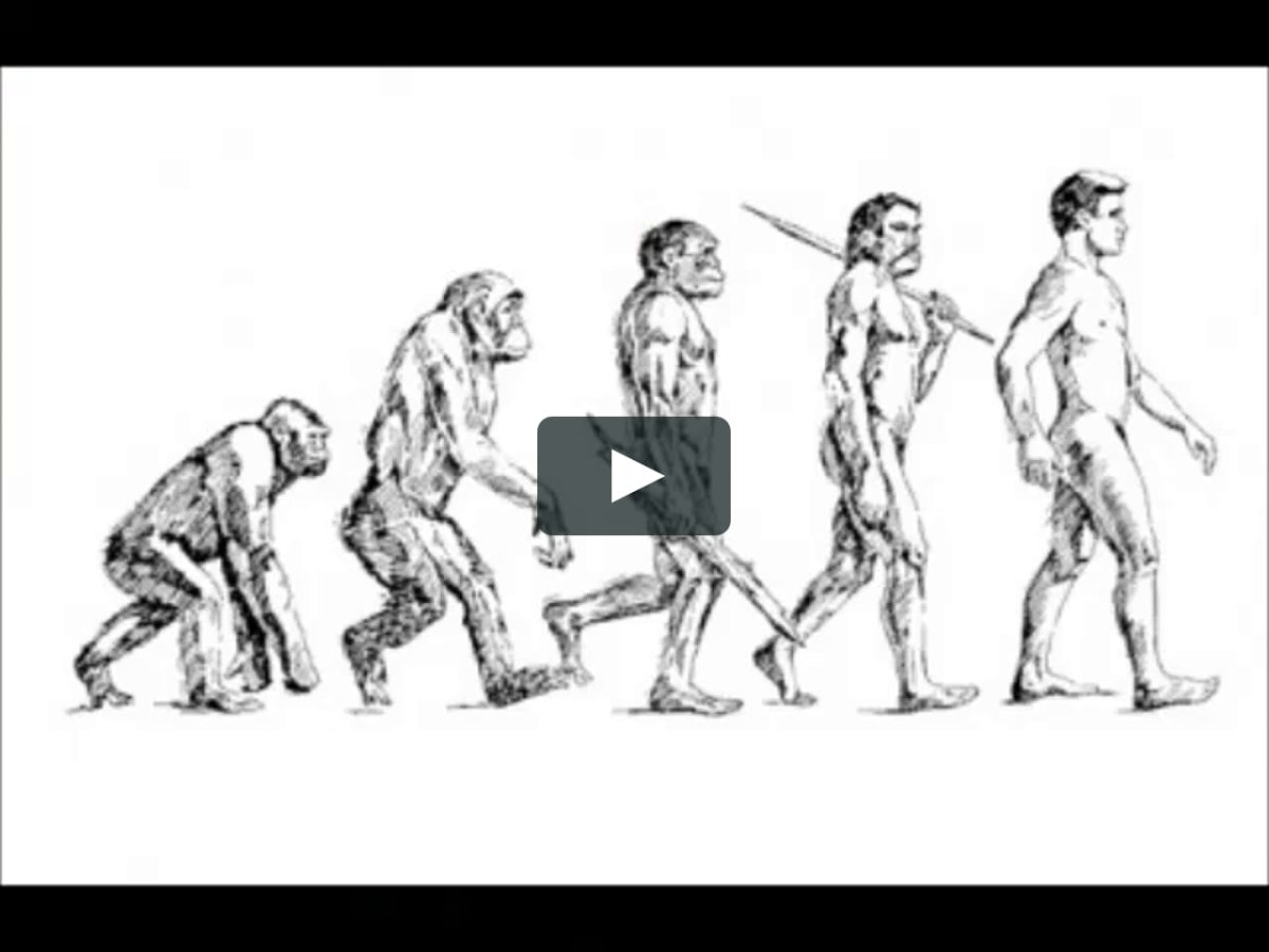 Антропогенез Дарвин