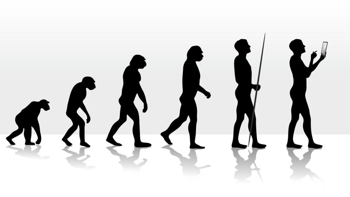 Эволюция от обезьяны