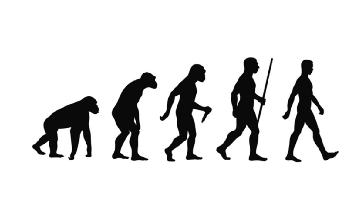 Эволюция человека