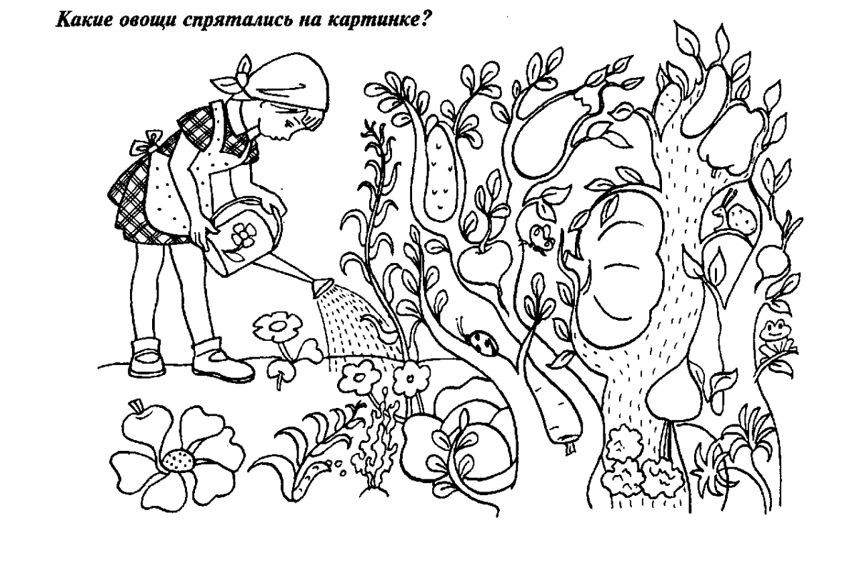 Найди и раскрась