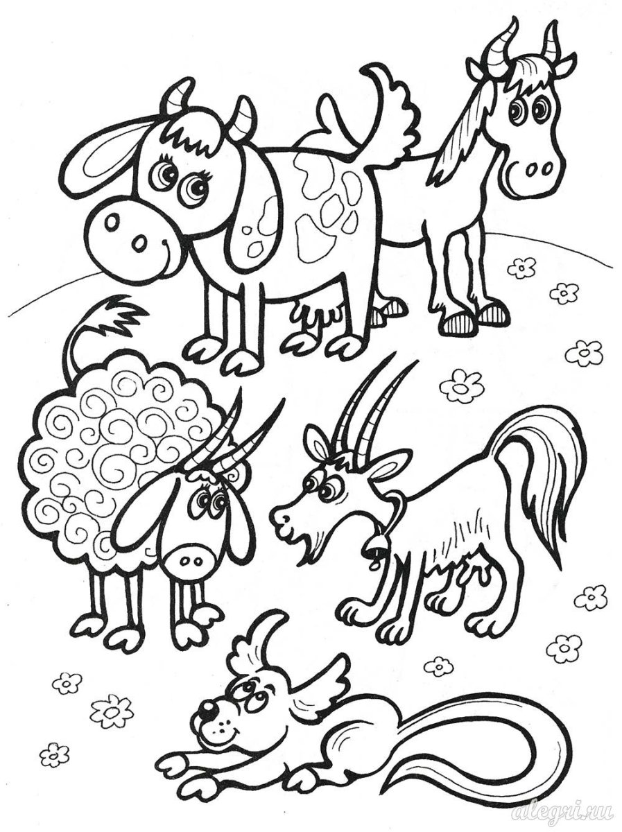 Нелепицы домашние животные