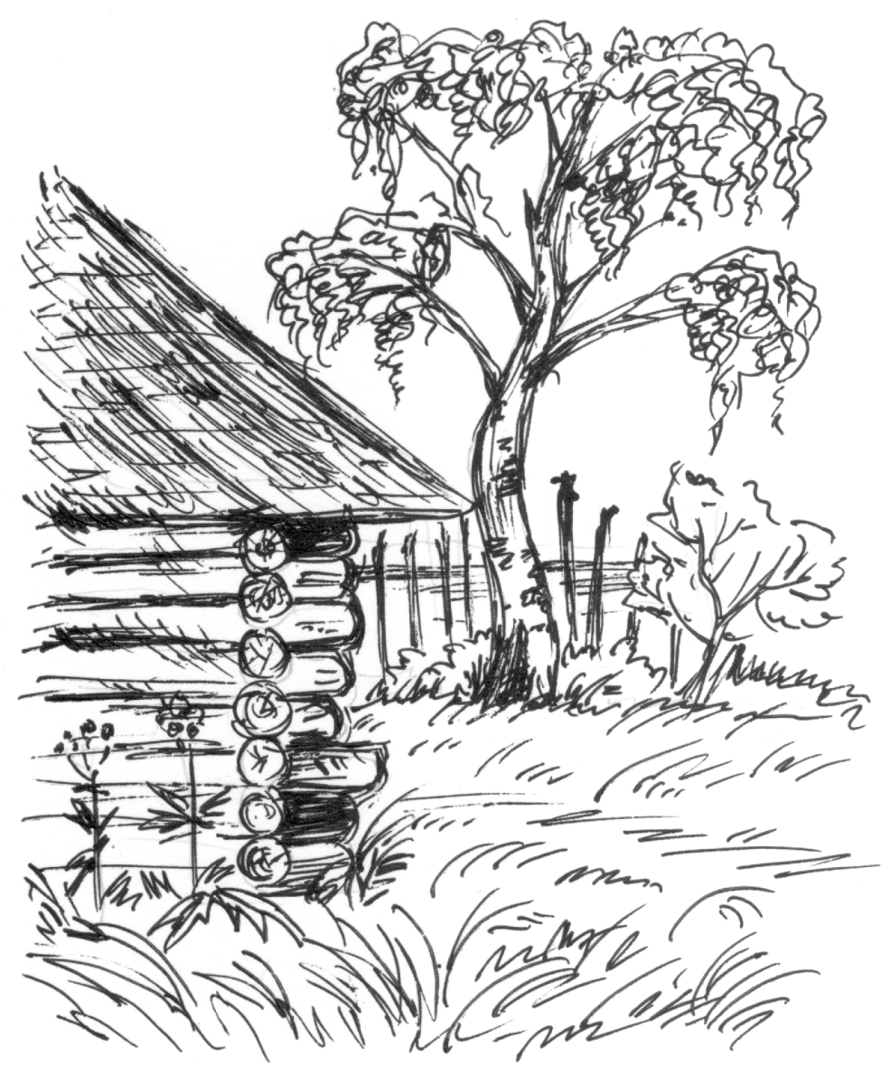 Небылицы раскраска