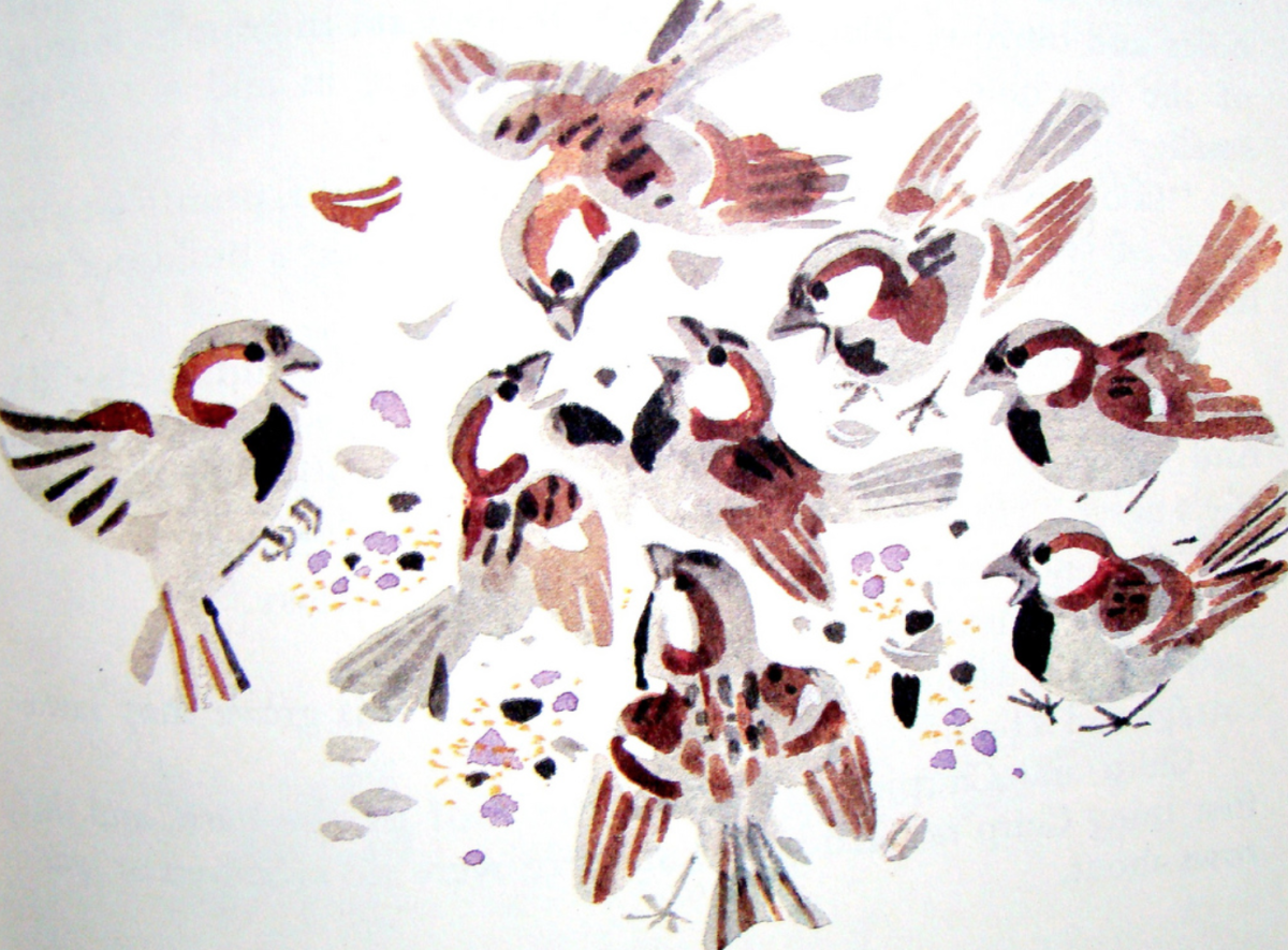 Митурич Вирейский