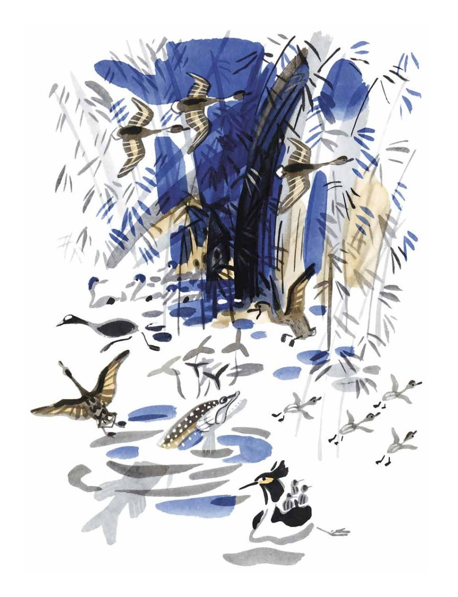 Художник Caver Zhang (乌猫)…