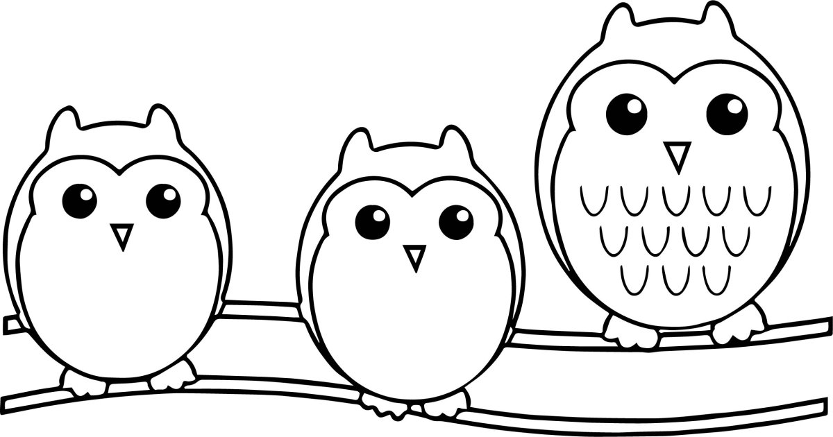 Раскраски Совы прикольные