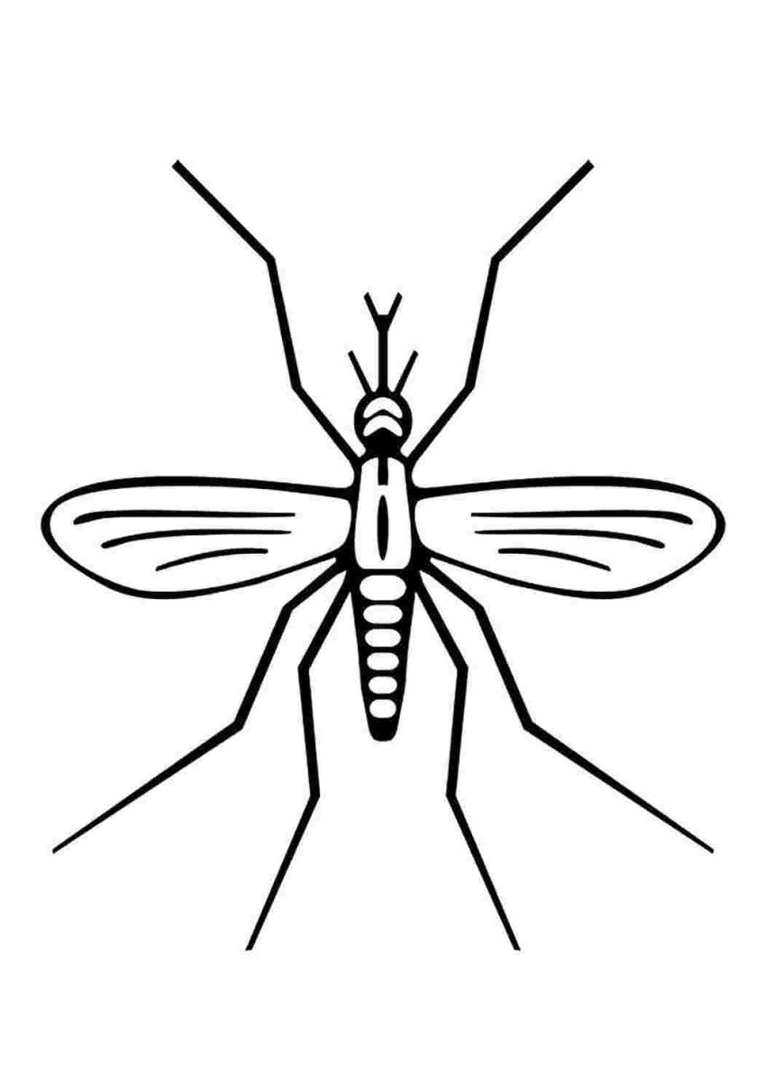 Комар раскраска для детей