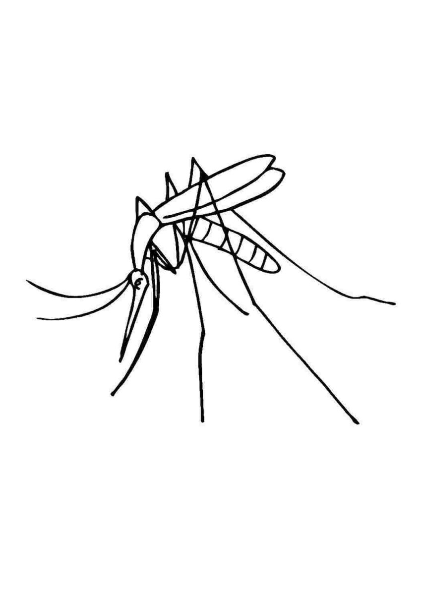 Комар рисунок
