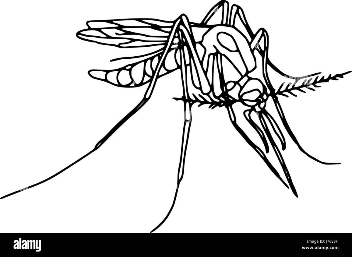 Комар рисунок детский тату