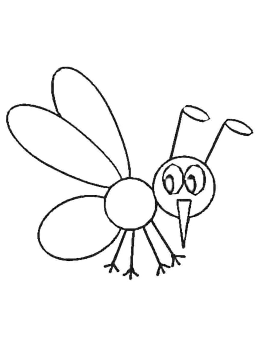 Комар раскраска