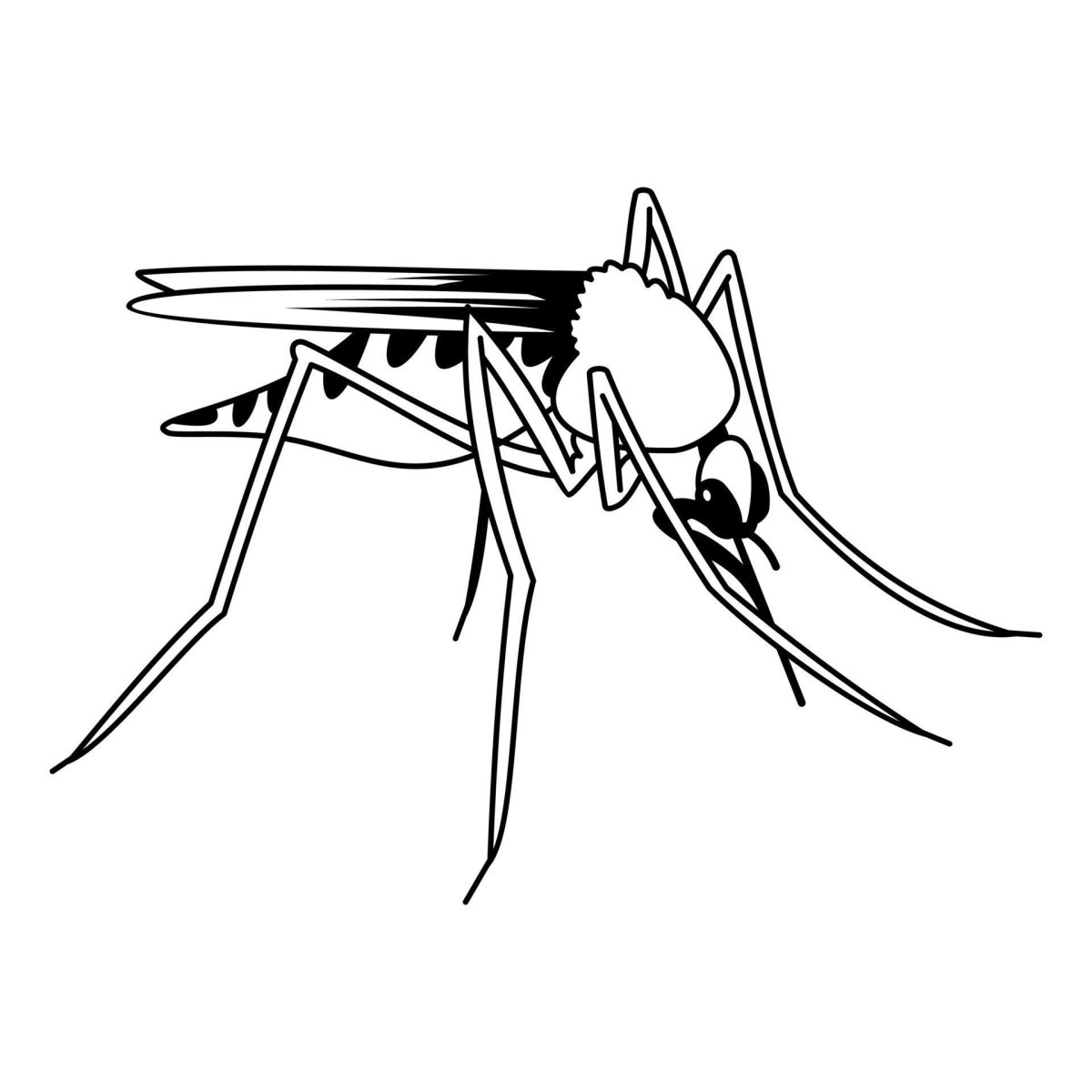 Комар эскиз