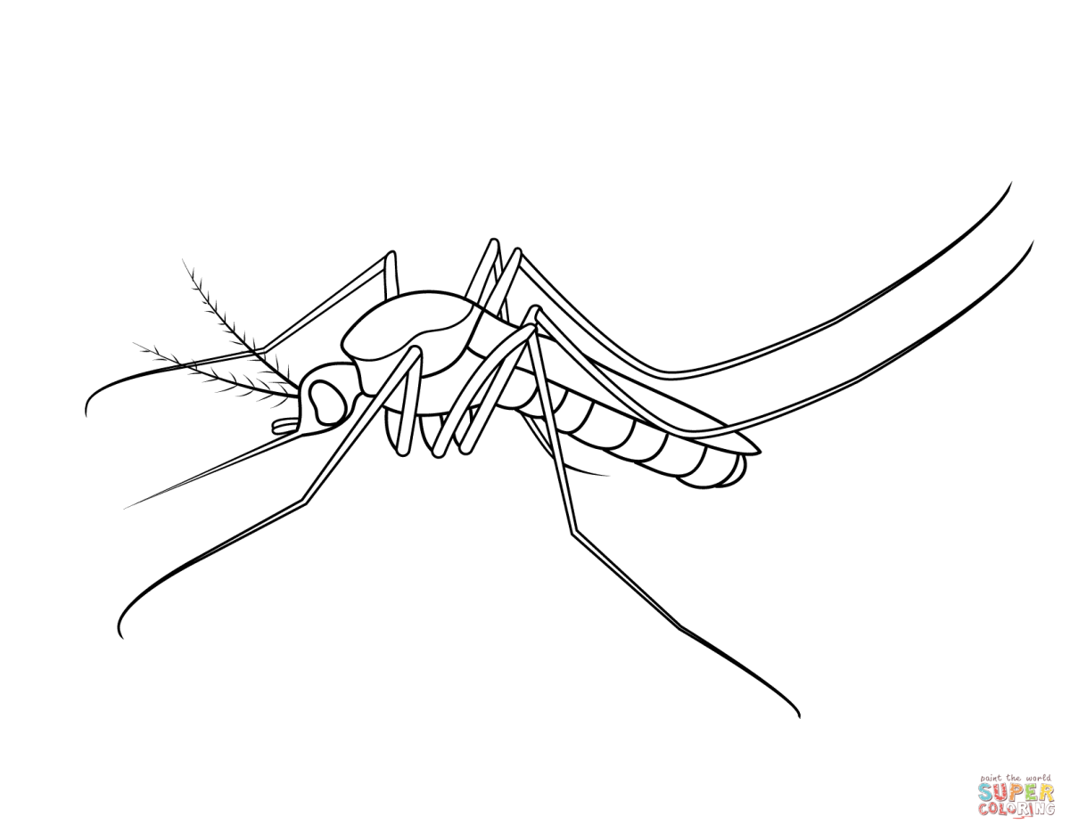 Комар рисунок